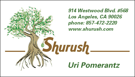 Business Card and Logo Design for Shurush by Dynamic Digital Advertising