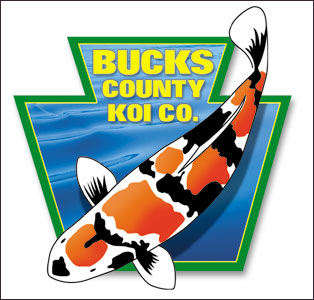 Professional Logo Design for Bucks County Koi Co. by Dynamic Digital Advertising